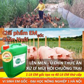 Chế phẩm Em gốc dùng trong chăn nuôi - Công Ty TNHH Thương Mại Trung Việt